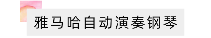 活动报道 | 远程艺术教育大师课活动——AG旗舰厅特邀艺术家张奕明大师课